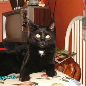 Meet your Posher, Manon